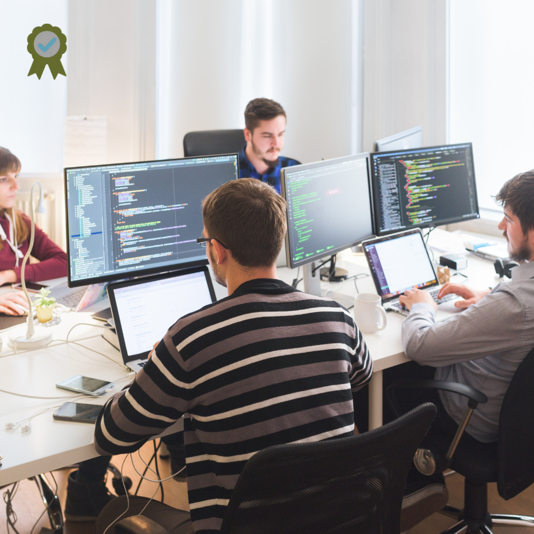 custom software development team working at computers