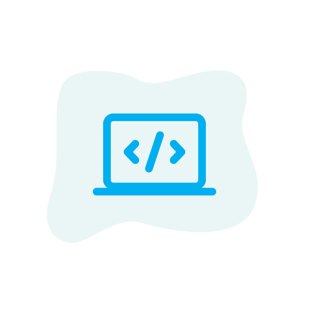 custom software development